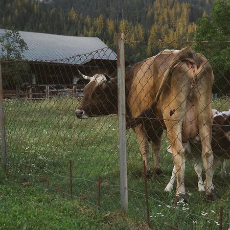 Landhaus Obervellach Hermagor-Pressegger See Exteriér fotografie