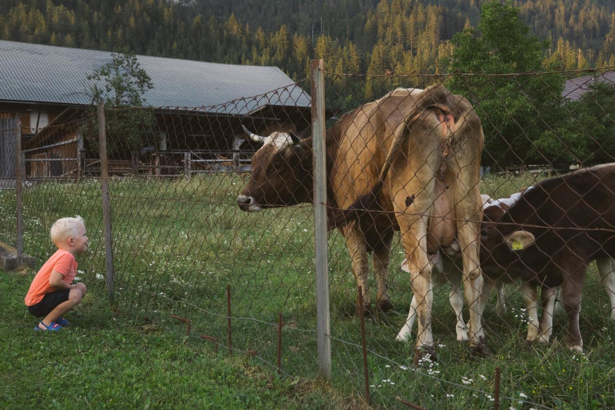Landhaus Obervellach Hermagor-Pressegger See Exteriér fotografie
